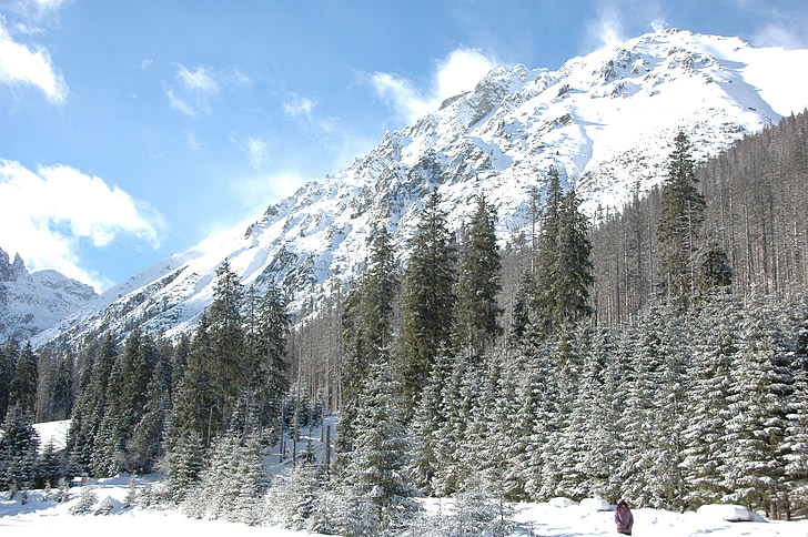 Tatrai, žiemą, kalnai