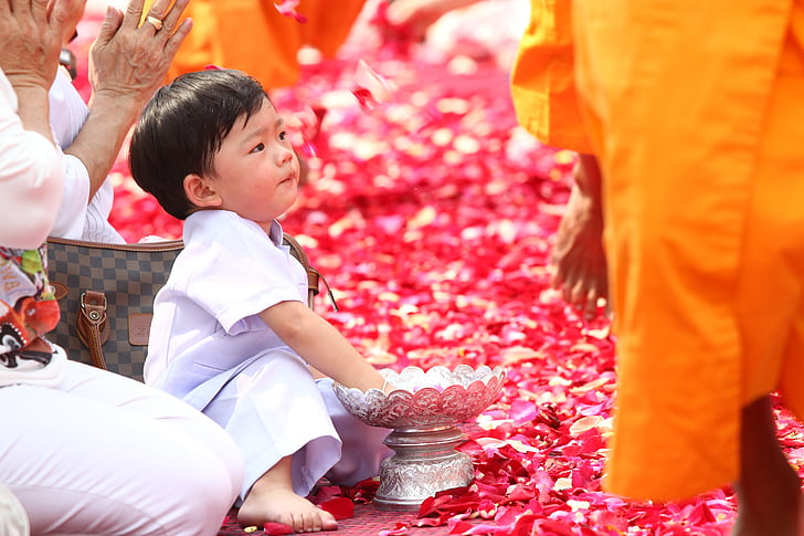 budistas, pétalos de rosa, niño, a pie, monjes, tradición, ceremonia de
