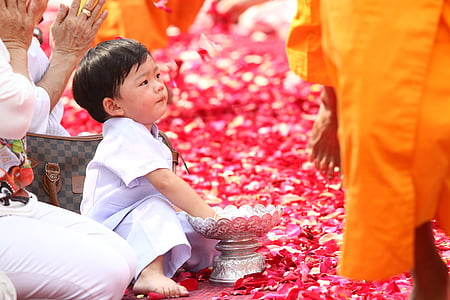 bouddhistes, pétales de rose, enfant, à pied, moines, tradition, cérémonie