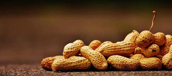 peanuts, shell, food, delicious, nutrition, peanut, knabberzeug