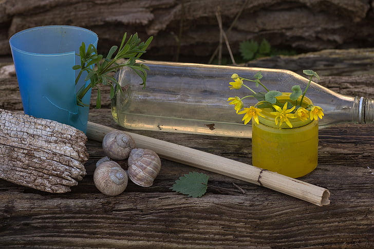 naturaleza muerta, tablero de madera, botella, flores, luz, conchas de caracol, madera - material