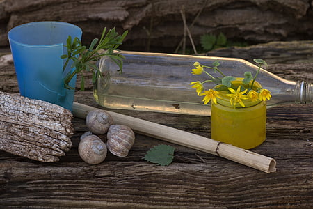 bodegons, taula de fusta, ampolla, flors, llum, caragoles, fusta - material