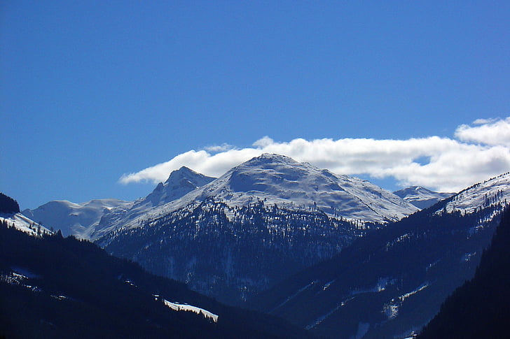 cuộc phiêu lưu, Alpine, leo lên, đám mây, lạnh, loài cây lá kim, ánh sáng ban ngày