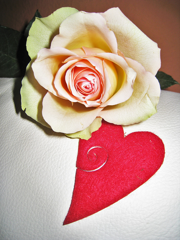ruže, srdce, deň svätého Valentína, s pozdravom, ľúbim ťa, Deň matiek, Svadobný deň