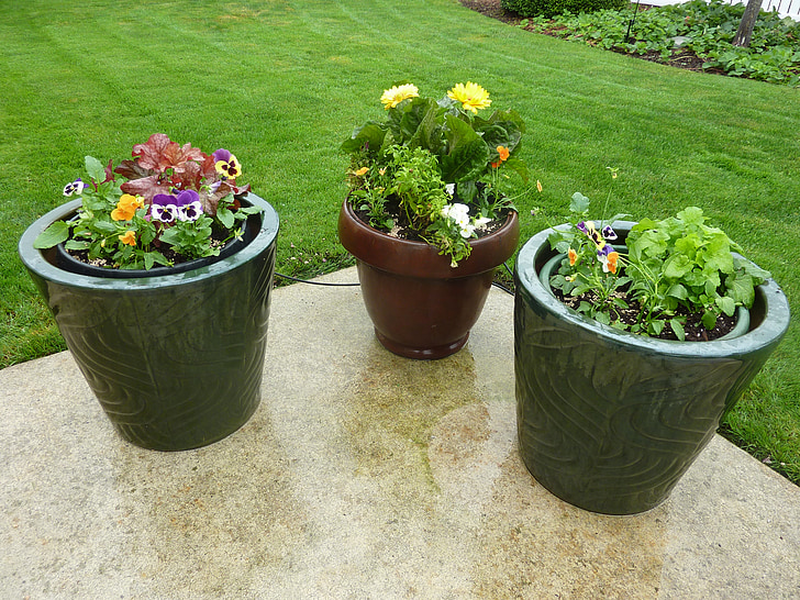 fleurs, pots de, patio, en pot, conteneurs, jardin, plante