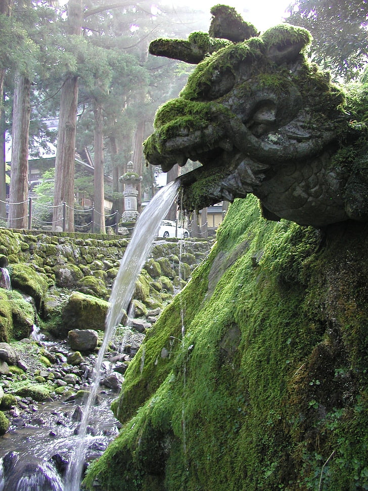 Japón, Zen, Dragón, escultura, fuente, Moss, Eiheiji