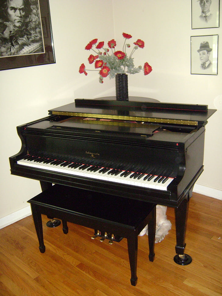 piano de cola, instrumento, teclado, baby grand, negro, música, clásico