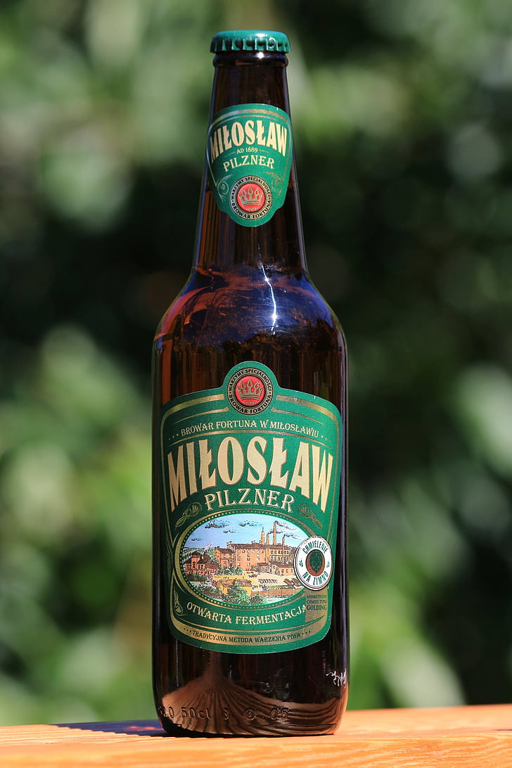 beer, ale, miloslaw