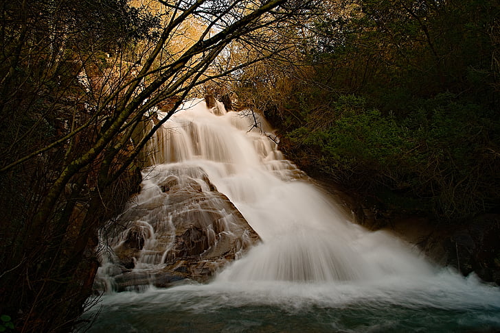 riu, l'aigua, bosc, efecte seda, cascada, natura, corrent