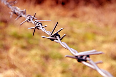 wire, barbs, danger, border, fence, privacy, macro