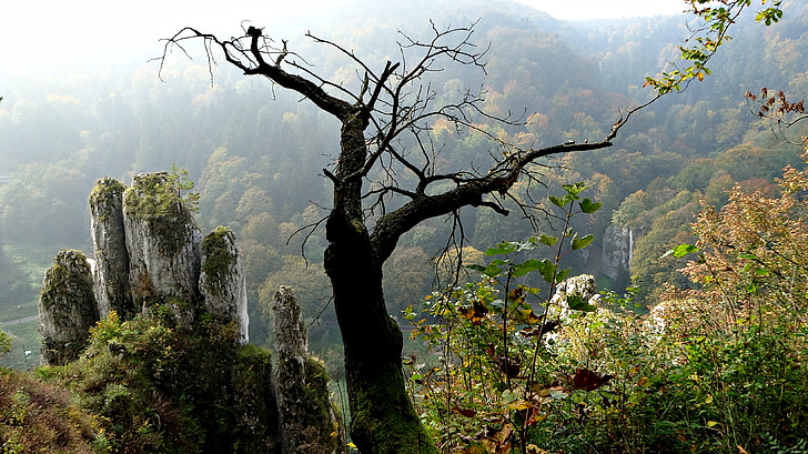 Poljska, priroda, krajolik, očinstva Nacionalni park, stijena, jesen, kamen rukavica