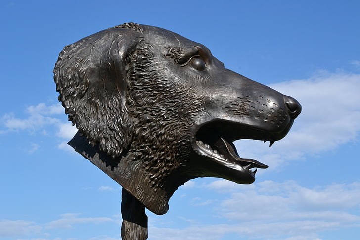 escultura, Ai wei wei, cão, bronze, cabeça