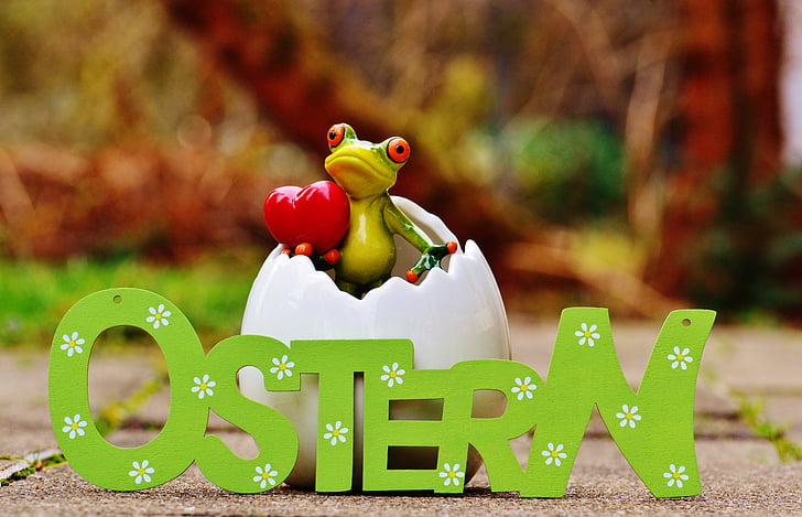 easter, eggshell, frog, happy easter, color, cute, funny