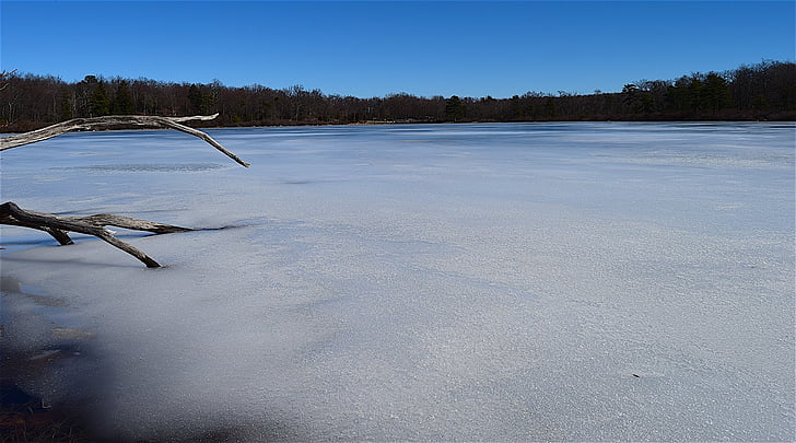 jezero, zamrznjeni, pozimi, podružnica, lesa, Park, narave