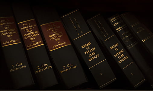 justice, law, case, hearing, old, skin, book