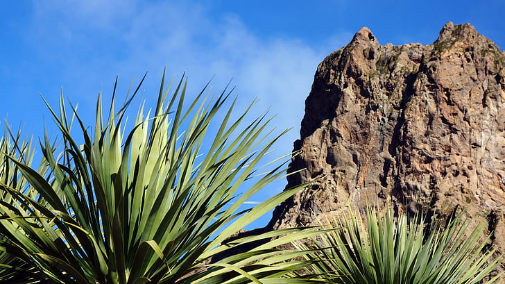 îles Canaries, roches, montagnes, plantes, vue de palmiers, ciel bleu
