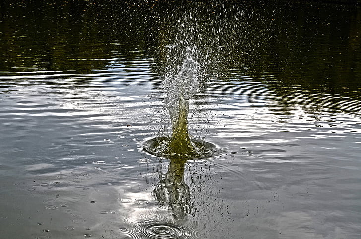 naturaleza, agua, Splash, reflexión, Lago
