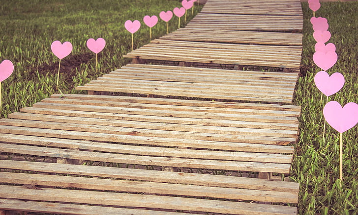 path, love, future, heart, romanticism, flower, grass