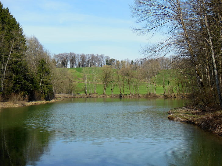 waldsee, Весна, Верхня Баварія, achental, дзеркальне відображення, небо, синій