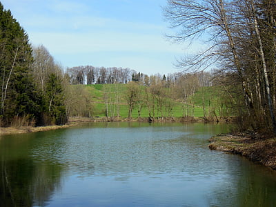 waldsee, 春天, 上部巴伐利亚, achental, 镜像, 天空, 蓝色