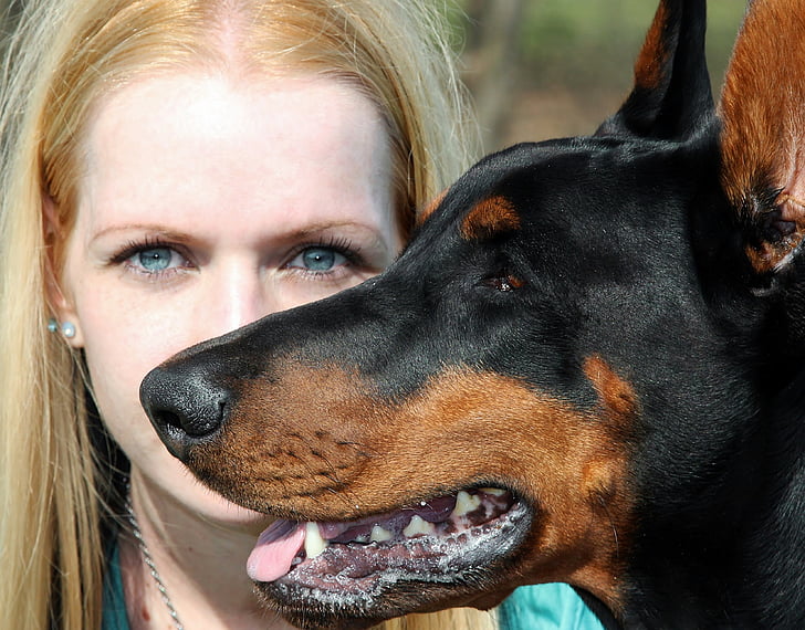 Dobermann, hond, blonde vrouw, Portret, blauw oog, Facial, huisdieren