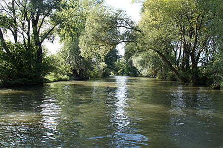 Río, naturaleza, verde, agua, Creek, crucero, bosque