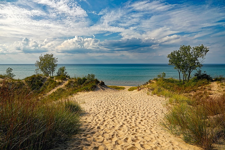 Indiana sanddynene state park, stranden, Michigansjøen, himmelen, skyer, planter, trær