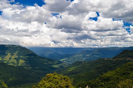 自然, 登山, ブラジル, 大西洋岸森林, 熱帯植物, 視覚的, 山