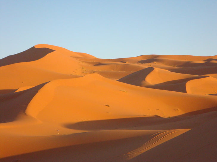 désert, dune, sable, Sahara, aride, nature sauvage, Maroc