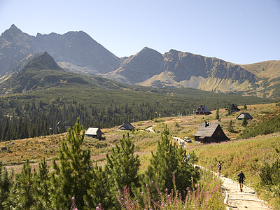 Tatry, Hala gąsienicowa, muntanyes, Senderisme, l'Alt Tatra, polonès Tatra, paisatge
