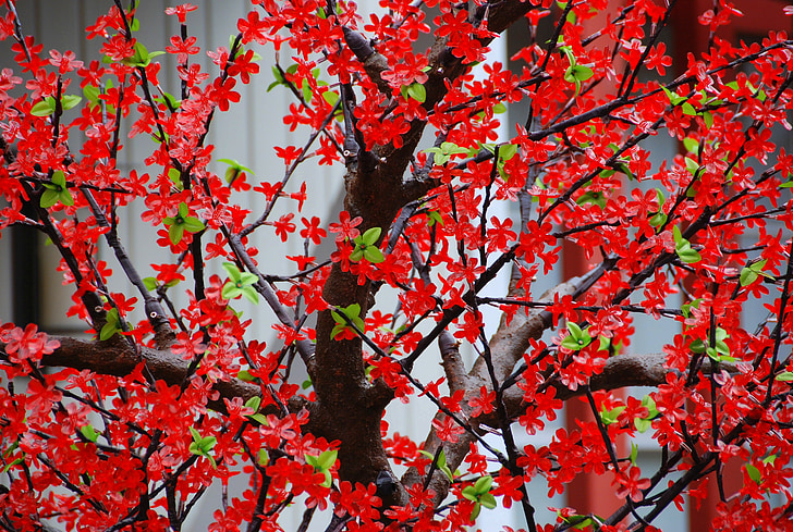 tree, branches, flowers, red, artificial, nature, decoration