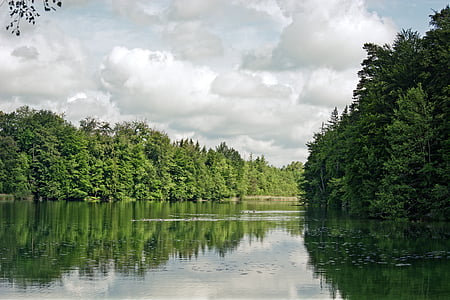lake, forest, trees, clouds, nature, sky, scenic