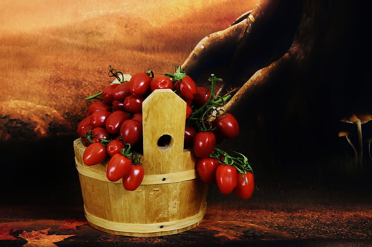 harvest tomatoes, wooden bucket, vegetables, food, food and drink, human body part, fruit