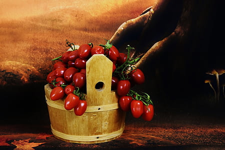 pomidorų derliaus, medinis kibiras, daržovės, maisto, maistu ir gėrimais, žmogaus kūno dalis, vaisių