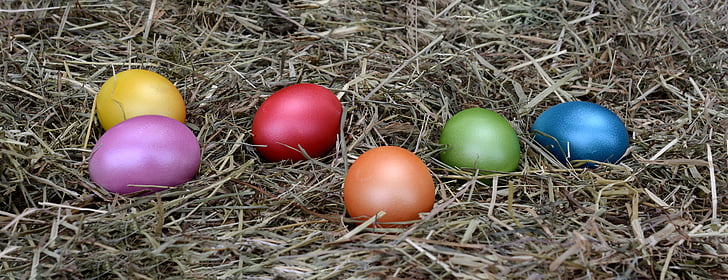 brillante, colorido, colorido, decorar, decoración, Semana Santa, huevos de Pascua