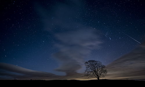 Увядшие, Одинокий, дерево, Темный, небо, ночное время, звезда