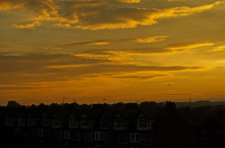 sunset, background, houses, house, city, england, evening