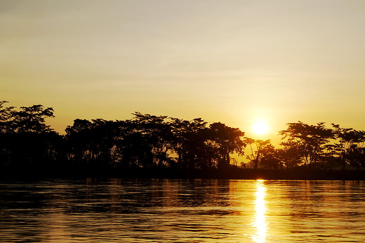 floden, Colombia, solen, sommar, ekologi, Shore, träd