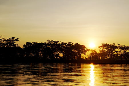nehir, Kolombiya, Güneş, Yaz, Ekoloji, Shore, ağaçlar