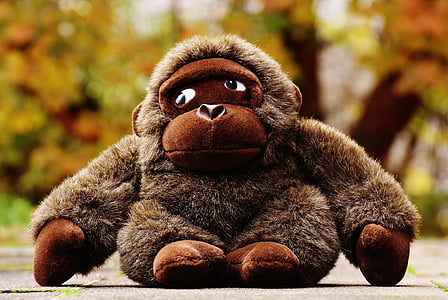 monkey, gorilla, toys, stuffed animal, soft toy, cute, sweet
