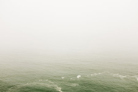 acqua, oceano, mare, cielo, nebbioso, nebbia, onde