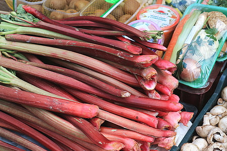 ฤดูใบไม้ผลิ, rhubarb, ตลาด, ผลไม้, ผัก, เรียกว่า rothmans, วิตามิน