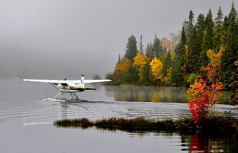 seaplane, nature, water, landscape, fall, lake