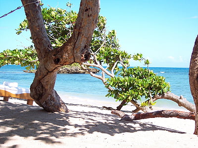beach, holiday, rest, caribbean