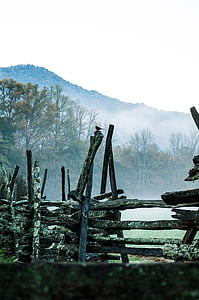 plot, drevené, staré, hrubý, vzor, drevo, Nástenné