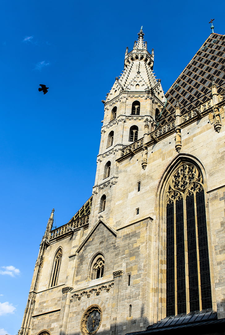 Wien, edificio, Viena, Catedral de San Esteban, religión, lugar de la adoración, arquitectura