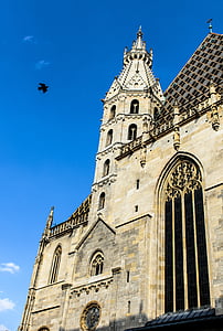 Wien, edifício, Viena, Stephansdom, religião, lugar de adoração, arquitetura