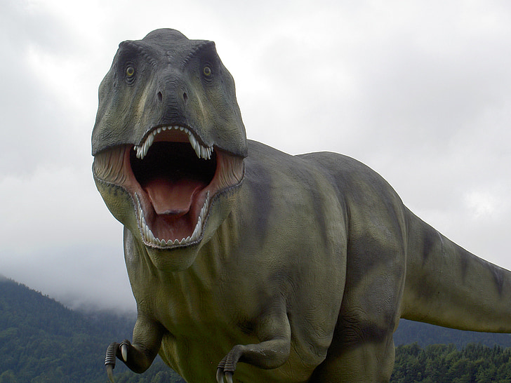 t rex, dinosaur, park, roaring, standing, fear, brutal