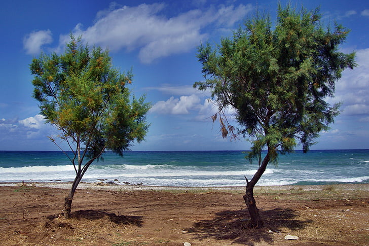 arbres, platja, Mar, Peloponès, natura, sorra, Costa