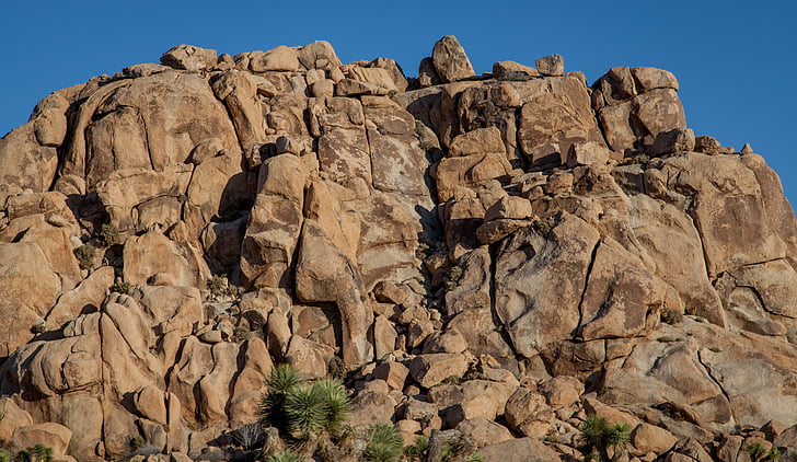 joshua tree, rocks, outcropping, outside, day, sandstone, sunny